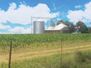 A photo showing a farm silo in South Africa